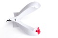 spomb_white_cu05.jpg