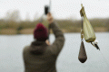 dsc00030.gif