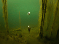 g0020131.gif