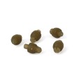 quick-change-feeder-beads_main2.jpg