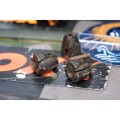 cac796_fox_removable_flying_back_lead_10g_on_tackle_box.jpg