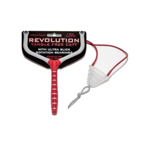 Proca Revolution Caty Light Elastic DRENNAN