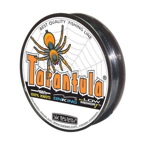 Tarantula.jpg