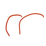 Gumy do procy Elastic Spare FOX