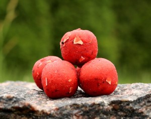 Kulki zanętowe BETA TRUSKAWKA 18mm / 1kg CARP GRAVITY