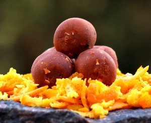 Kulki zanętowe BETA KRILL-ORANGE 18mm / 1kg CARP GRAVITY