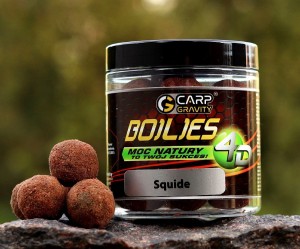 Kulki przynętowe 4D SQUIDE 20mm / 250ml CARP GRAVITY