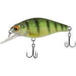 Wobler X-Fish Chipotel 50F/50mm/6g #289 SELECT