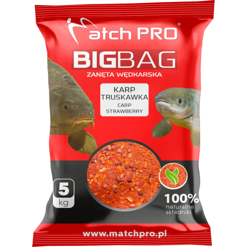 MOCKUP-BIG-BAG-KARP-TRUSKAWKA-2023.png