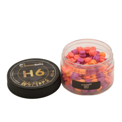 H6-007_2.JPG
